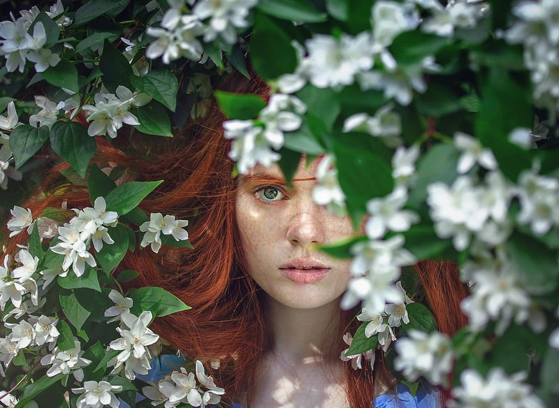 Whimsical Garden